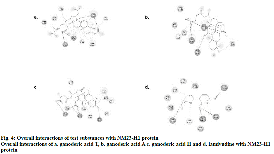 IJPS-interactions-ganoderic