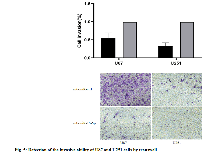 IJPS-invasive