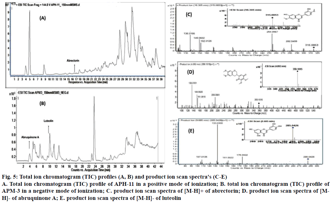 IJPS-ion-chromatogram