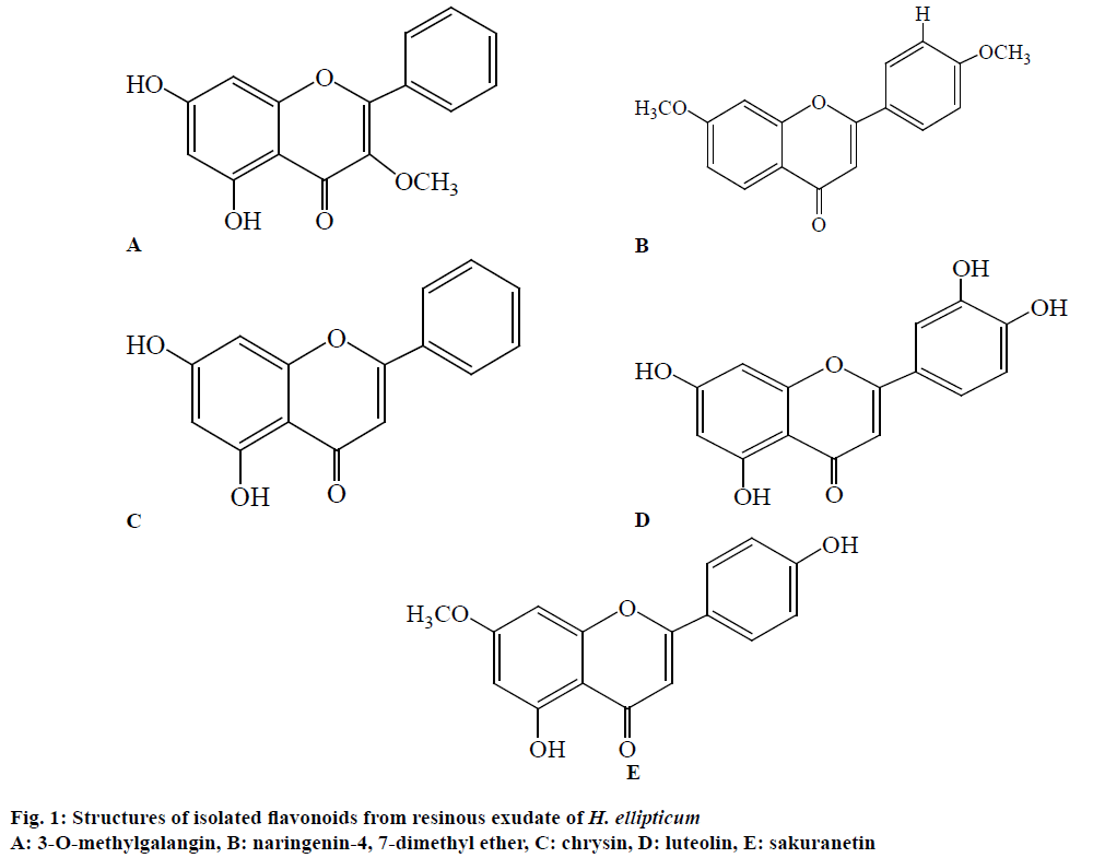 IJPS-isolated-flavonoids