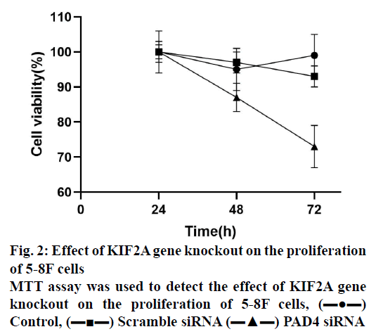 IJPS-knockout