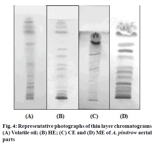 IJPS-layer-chromatograms