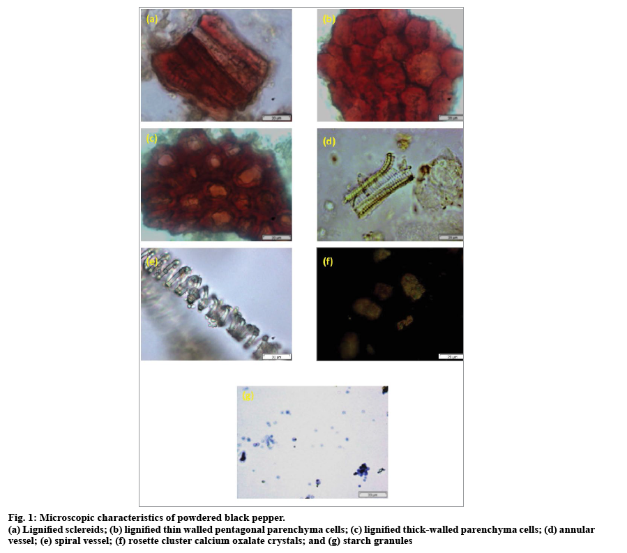 IJPS-lignified-thin-walled-pentagonal