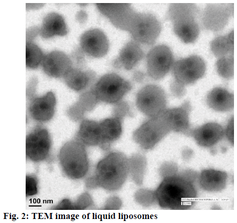 IJPS-liquid-liposomes