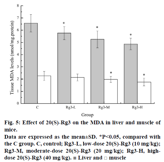 IJPS-liver-muscle