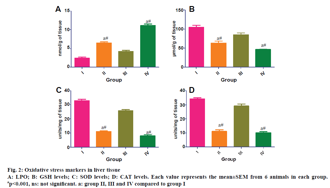 IJPS-liver-tissue