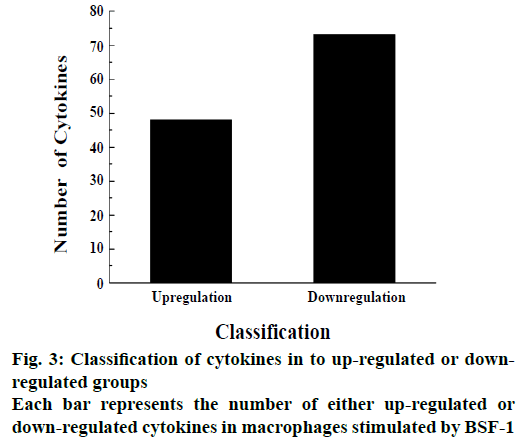 IJPS-macrophages-stimulated