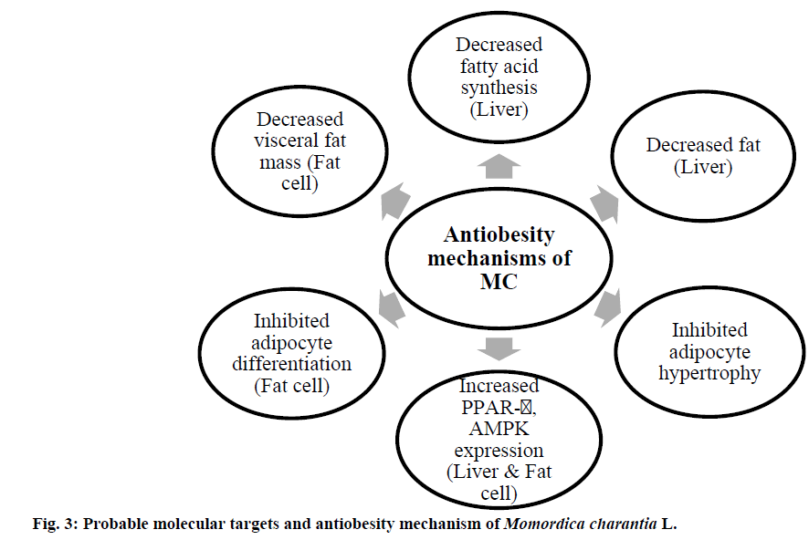 IJPS-mechanism