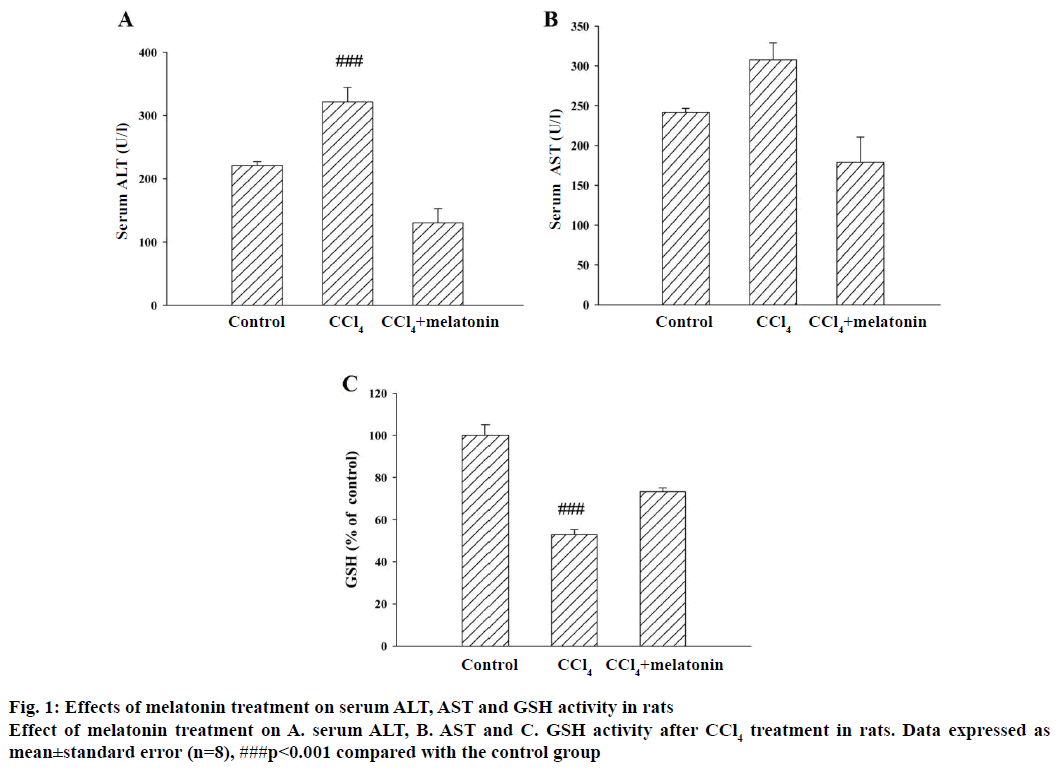 IJPS-melatonin-treatment