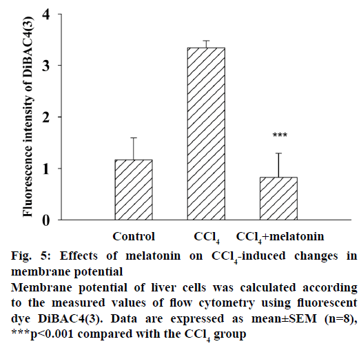 IJPS-membrane-potential