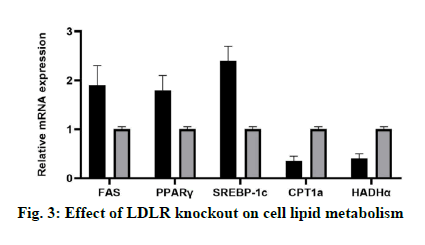 IJPS-metabolism