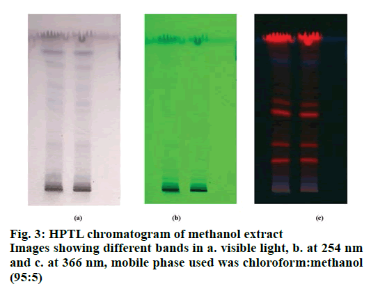 IJPS-methanol