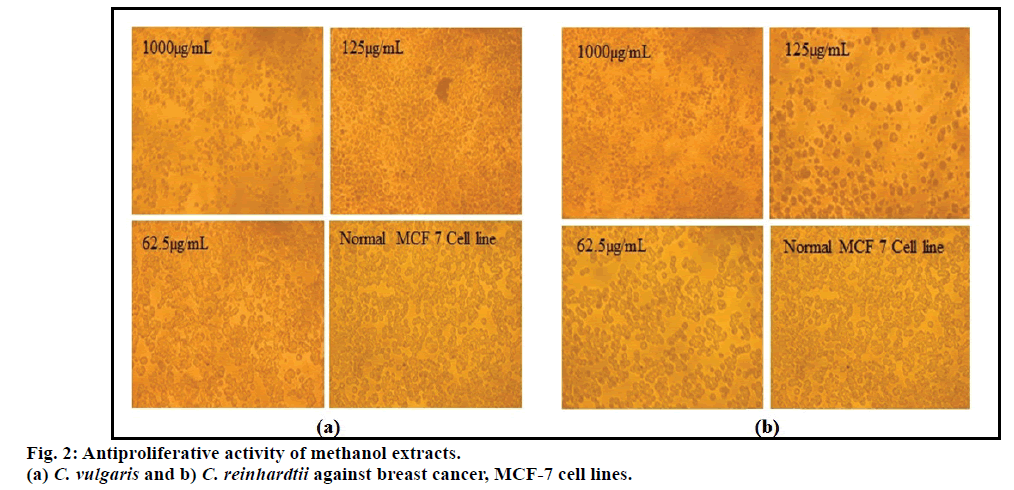 IJPS-methanol-extracts