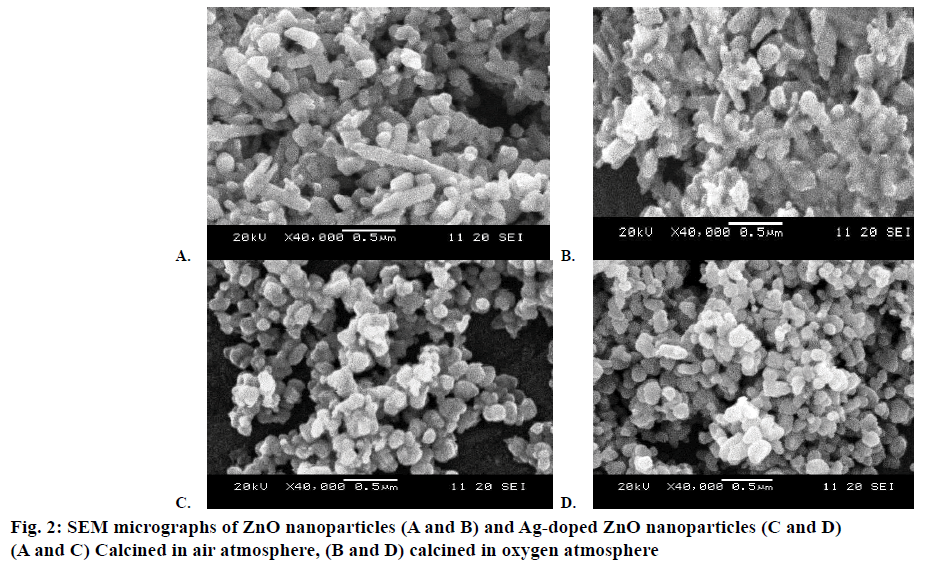 IJPS-micrographs