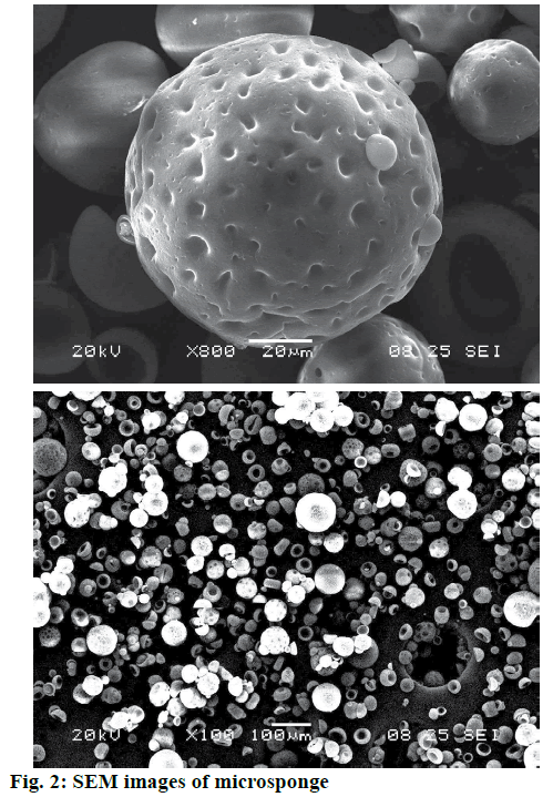 IJPS-microsponge