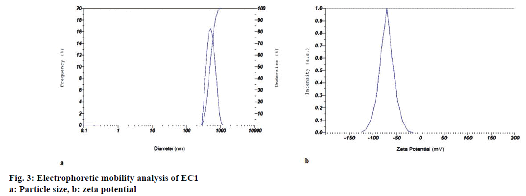 IJPS-mobility-analysis