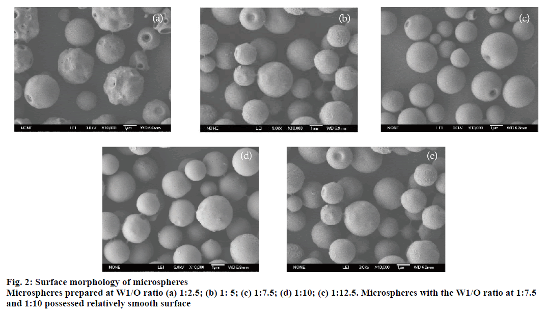 IJPS-morphology-microspheres