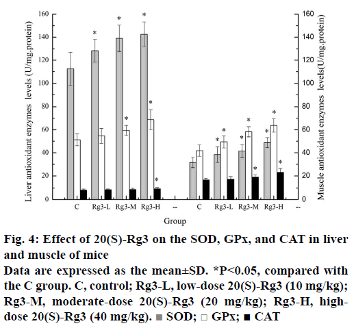 IJPS-muscle-mice