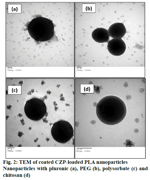 IJPS-nanoparticles-pluronic