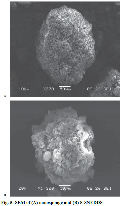 IJPS-nanosponge