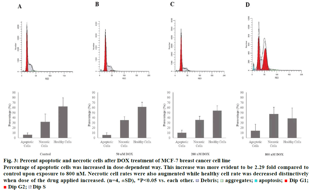 IJPS-necrotic-cells-DOX