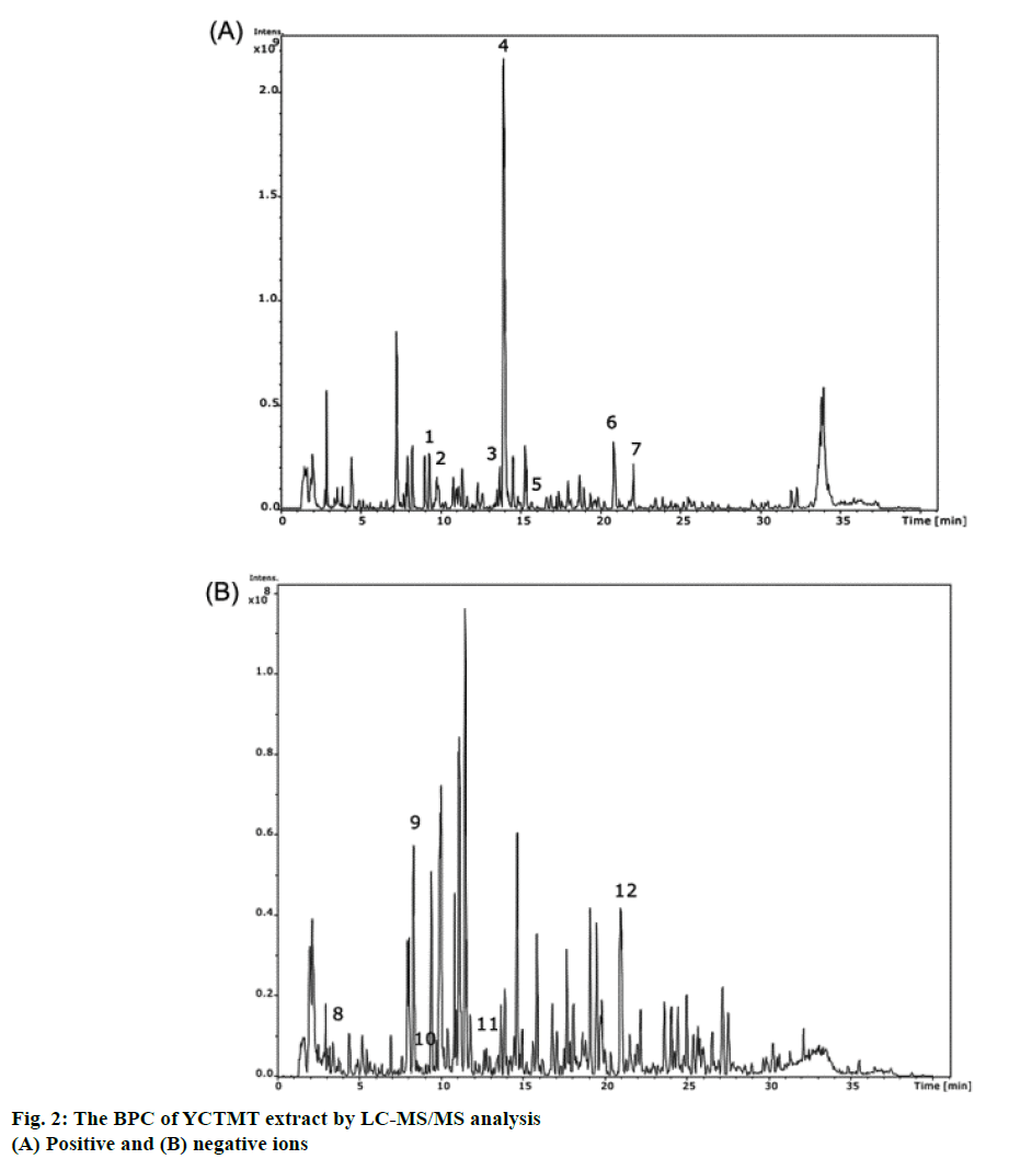 IJPS-negative-ions