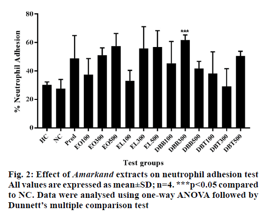 IJPS-neutrophil-adhesion