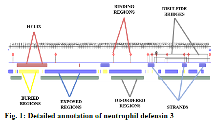 IJPS-neutrophil-defensin