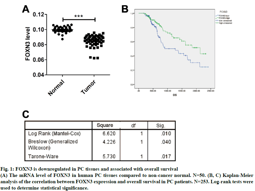 IJPS-non-cancer