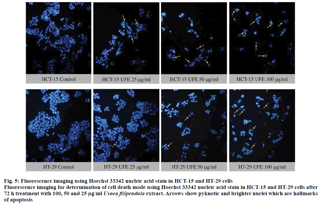 IJPS-nucleic-acid