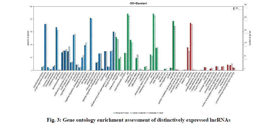 IJPS-ontology-enrichment