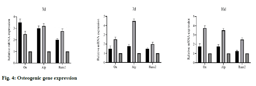 IJPS-osteogenic-gene