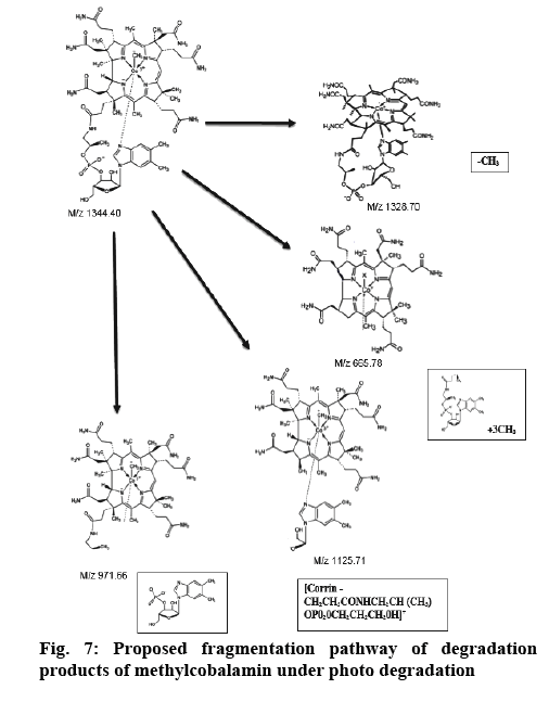 IJPS-pathway