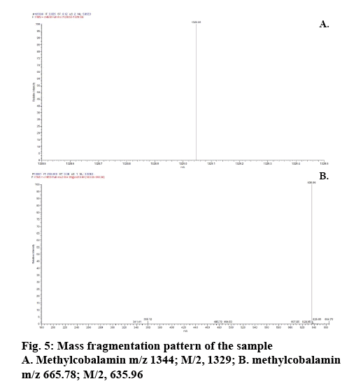 IJPS-pattern