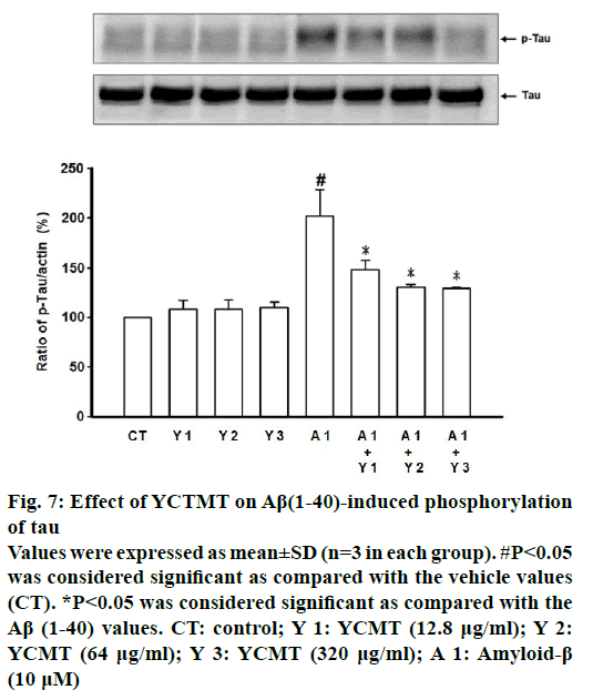 IJPS-phosphorylation