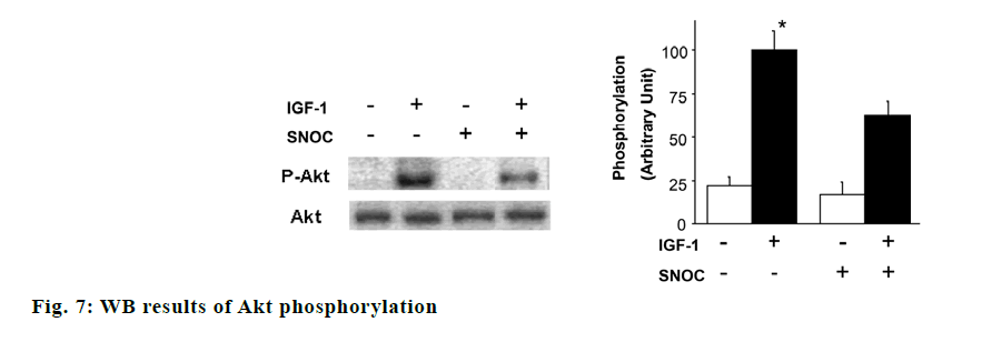 IJPS-phosphorylation