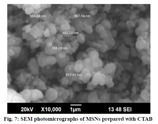 IJPS-photomicrographs