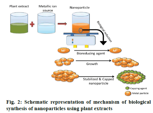 IJPS-plant-extracts