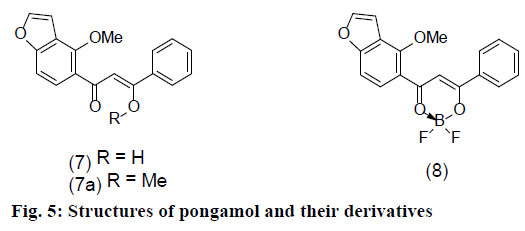 IJPS-pongamol-derivatives