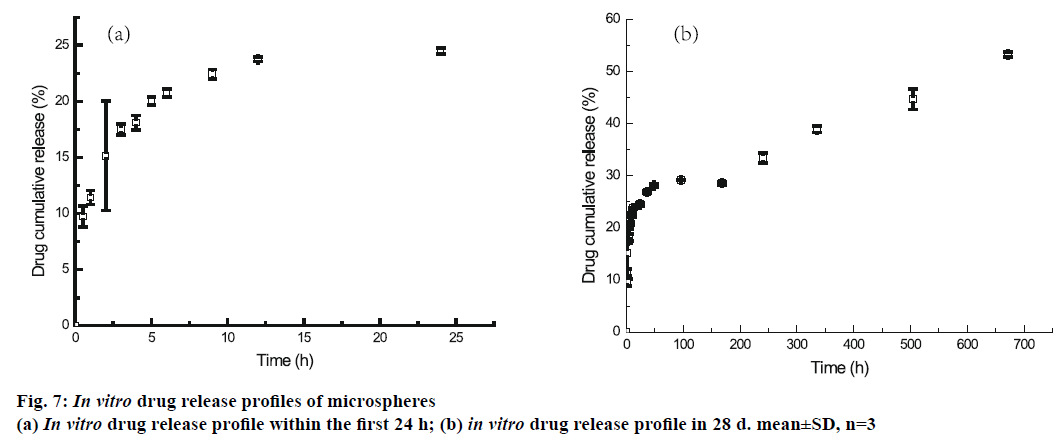 IJPS-profiles-microspheres