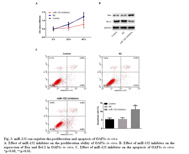 IJPS-proliferation