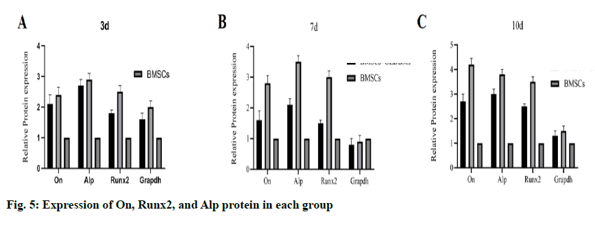 IJPS-protein