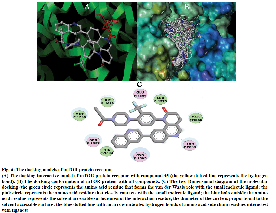 IJPS-protein-receptor