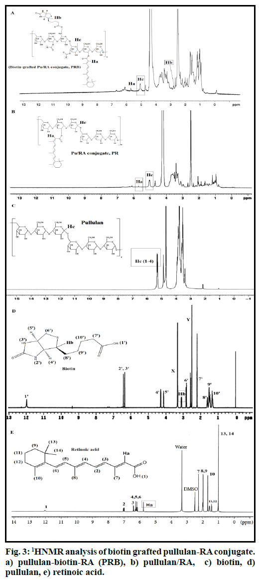 IJPS-pullulan-biotin-RA