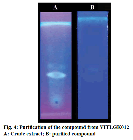 IJPS-purified-compound