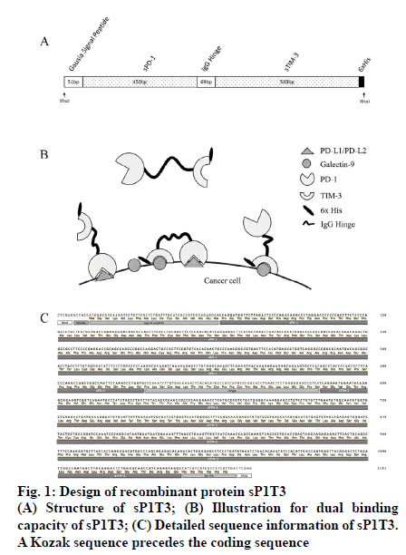 IJPS-recombinant