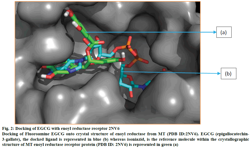 IJPS-reductase-receptor