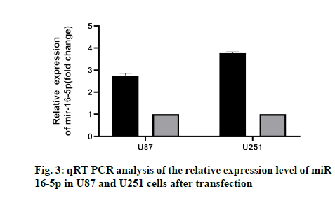 IJPS-relative