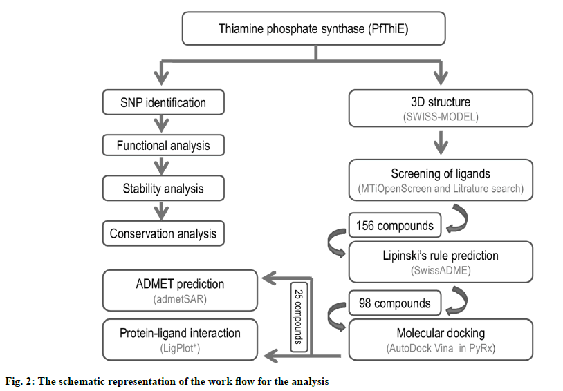 IJPS-representation