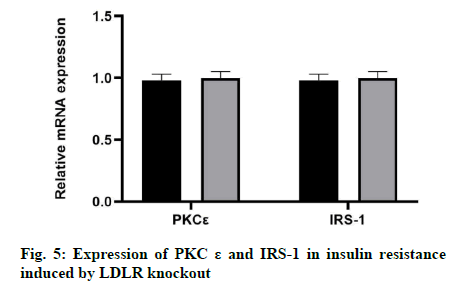 IJPS-resistance